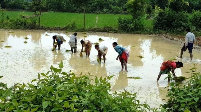 NABARD says rural spending in Odisha rising, farmers differ | TheBlink.in